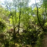El Tinganon