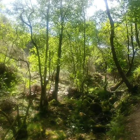 El Tinganon