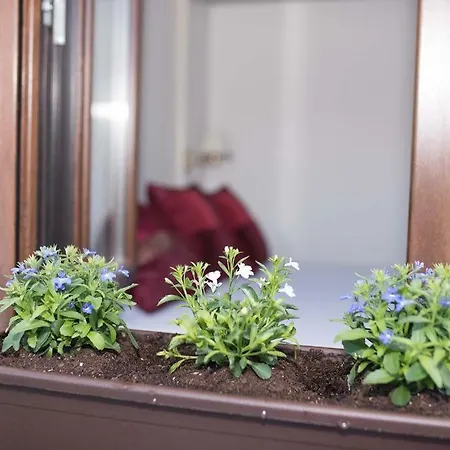 El Tinganon 利亚内斯